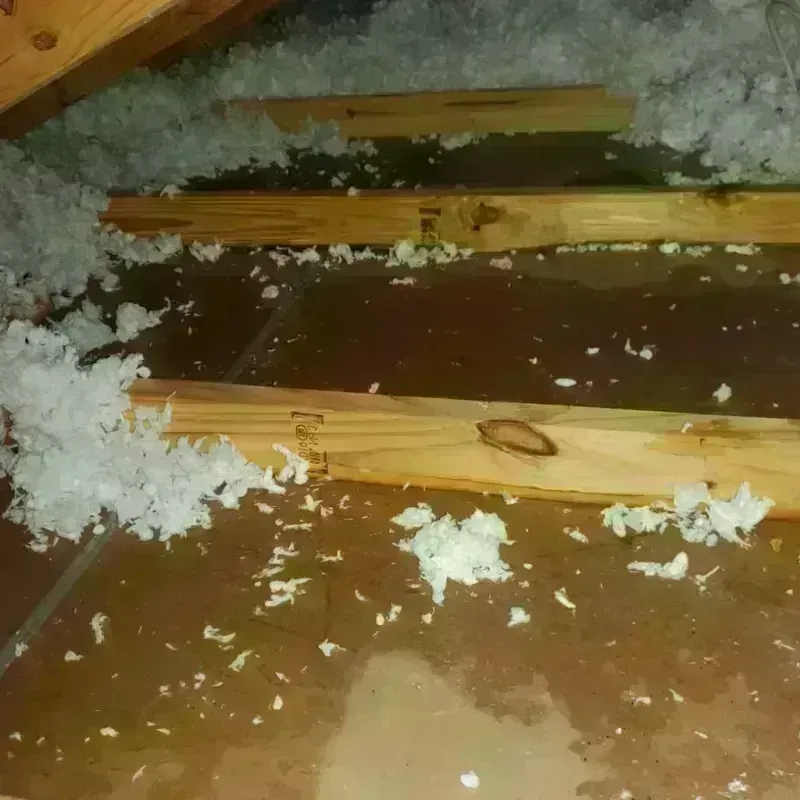 Attic Water Damage in Whitefield, ME